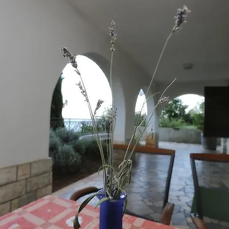 Apartment Vera